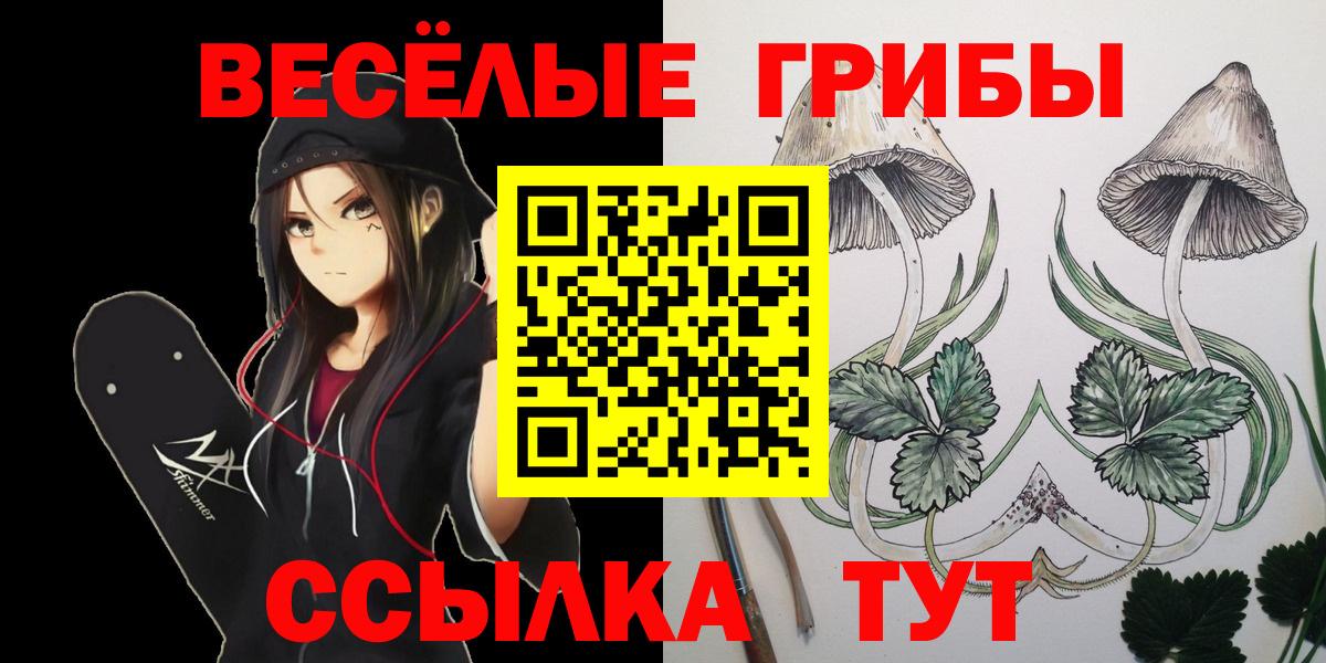 Псилоцибиновые грибы прущие грибы Гусь-Хрустальный