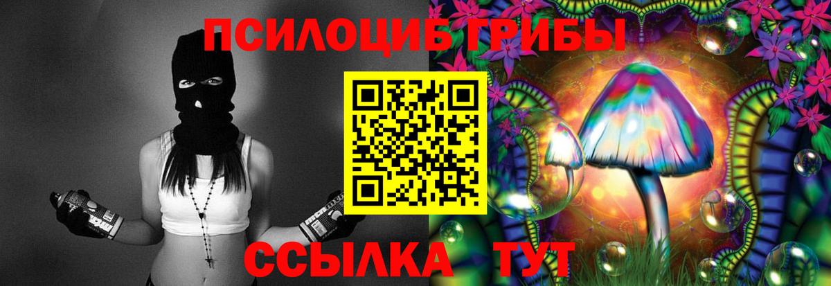 Псилоцибиновые грибы Psilocybine cubensis  Вход с VPN  Гусь-Хрустальный  Галлюциногенные грибы ЛСД 